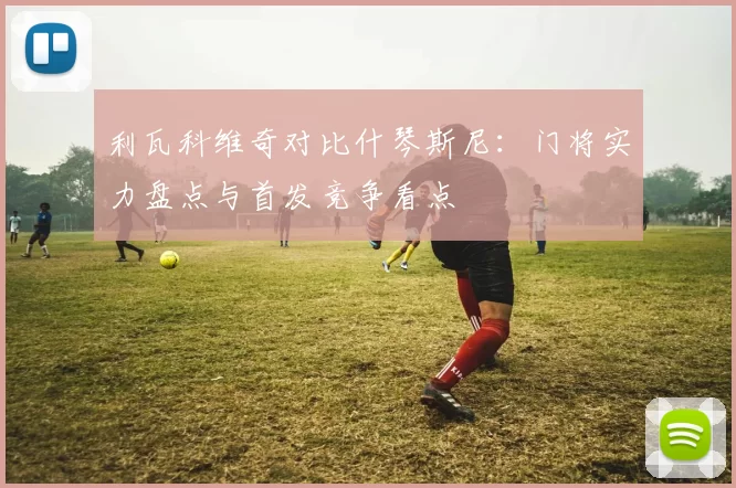 利瓦科维奇对比什琴斯尼：门将实力盘点与首发竞争看点
