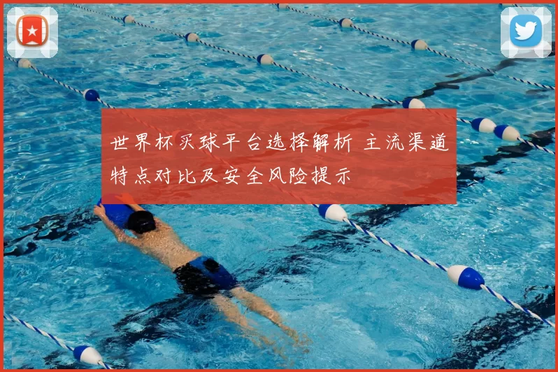 世界杯买球平台选择解析 主流渠道特点对比及安全风险提示